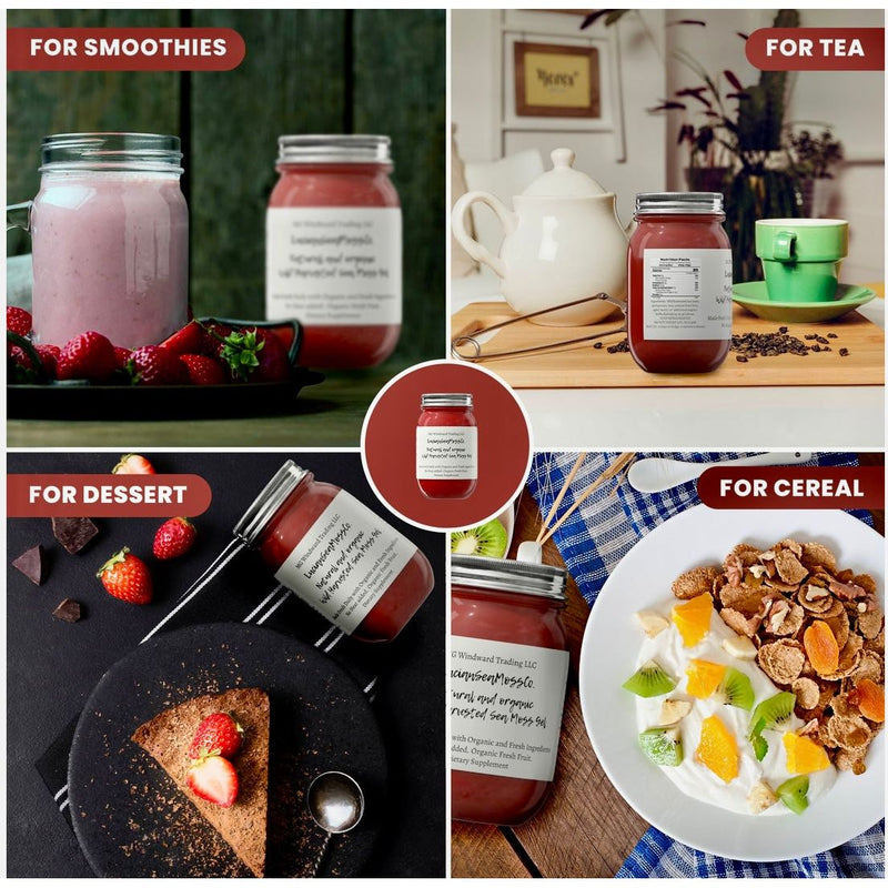 MG Windward Trading LLC Matcha Green Tea Infused Organic Sea Moss Gel Herbal Gel