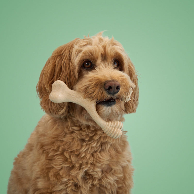 BetterBone All Natural Eco-Friendly Dog Chews & Bones BetterBone MODERATE Chew Toy Dog Toys