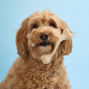BetterBone All Natural Eco-Friendly Dog Chews & Bones BetterBone LIGHT Chew Toy Dog Toys