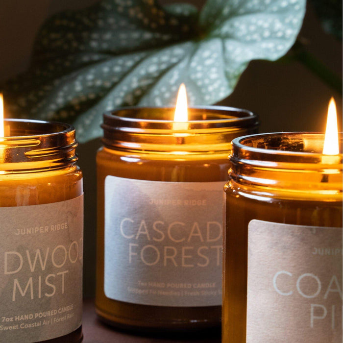 Coastal Pine Essential Oil Candle