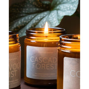 Juniper Ridge Cascade Forest Essential Oil Candle Candles