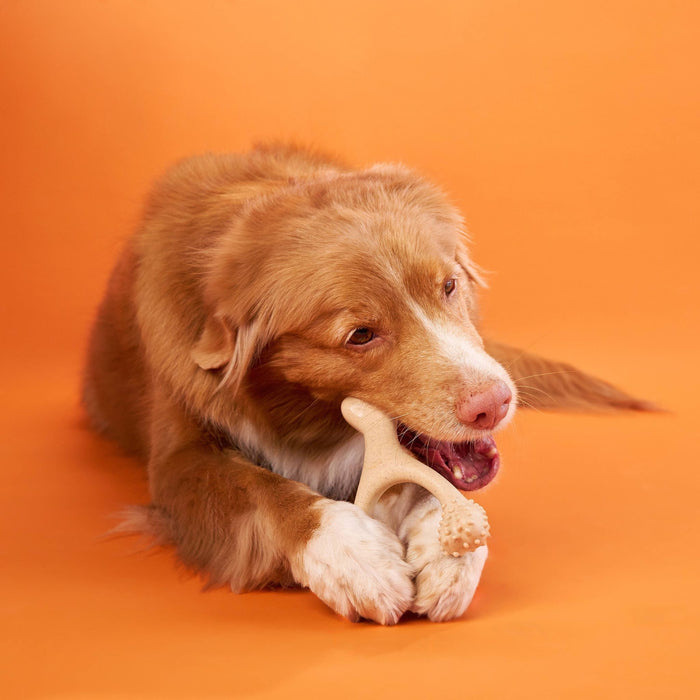 BetterBone Hard Density- Tough, SUPER Durable All-Natural, Dog Chews - For Aggressive Chewers.