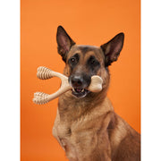BetterBone All Natural Eco-Friendly Dog Chews & Bones BetterBone HARD Chew Toy Dog Toys