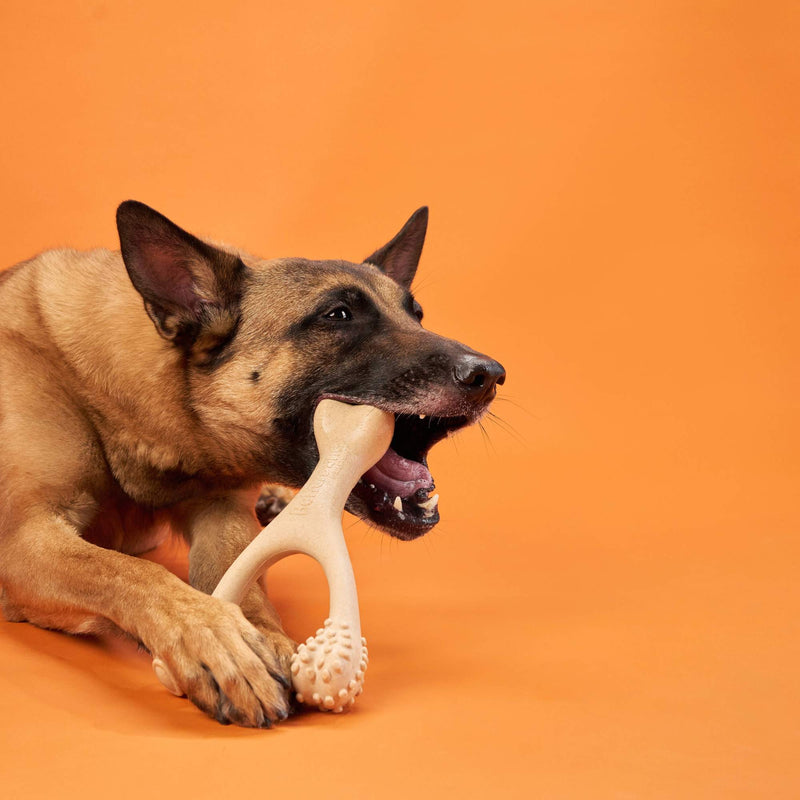 BetterBone All Natural Eco-Friendly Dog Chews & Bones BetterBone HARD Chew Toy Dog Toys
