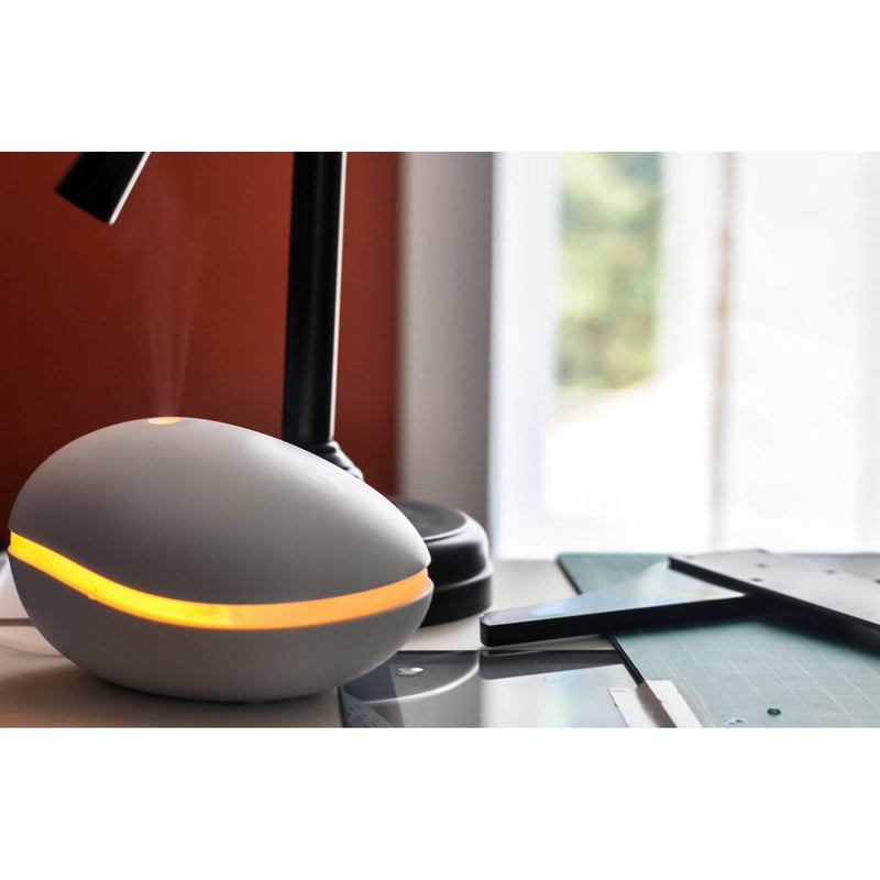 ZAQ Skin & Body Pebble Diffusers