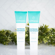 Wellnesse Whitening Toothpaste - 2 Pack whitening toothpaste