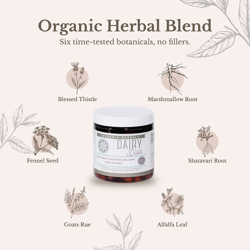 Euphoric Herbals Dairy Diva Breastfeeding Capsules