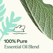 Plant Therapy Dalmatian Sage Essential Oil Essential Oil