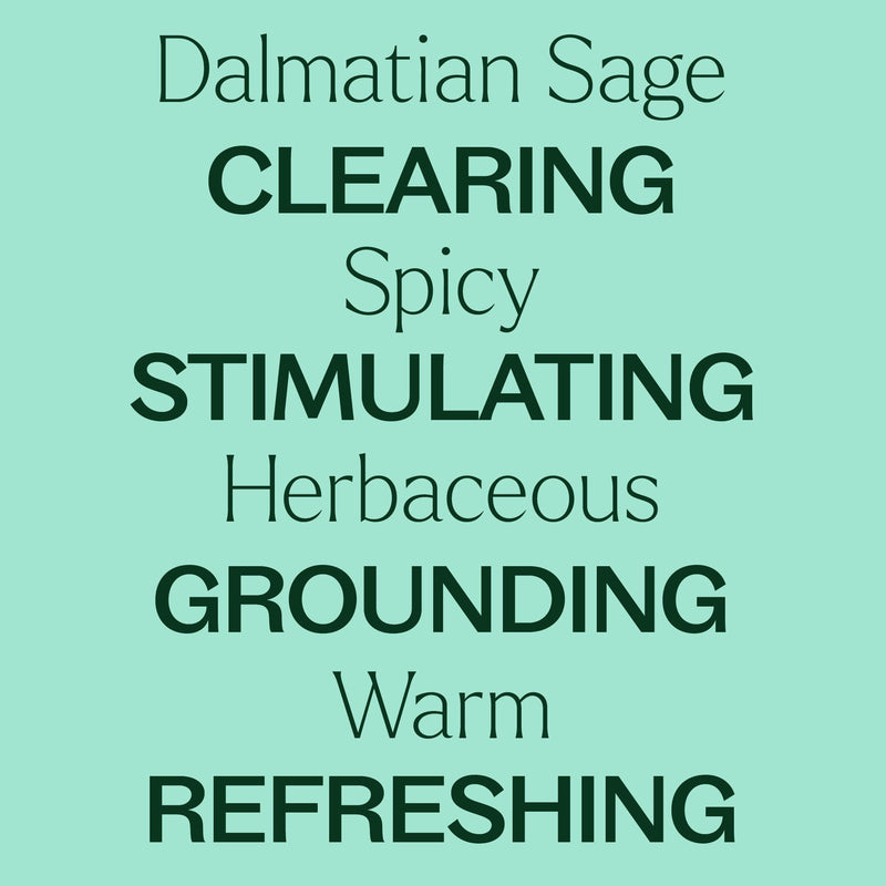 Plant Therapy Dalmatian Sage Essential Oil Essential Oil