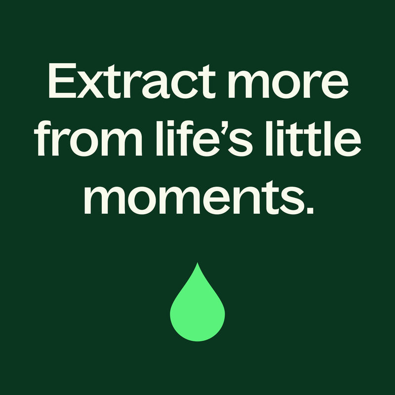 Plant Therapy Dalmatian Sage Essential Oil Essential Oil