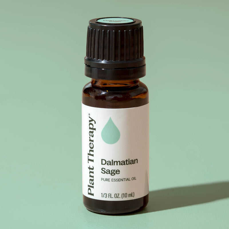 Plant Therapy Dalmatian Sage Essential Oil Essential Oil