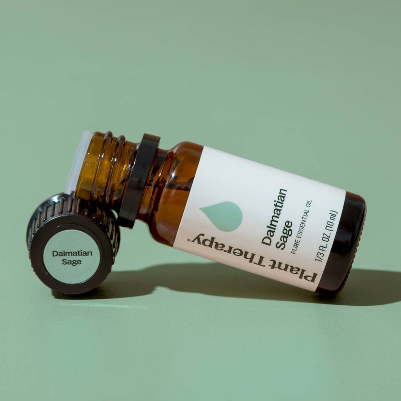 Plant Therapy Dalmatian Sage Essential Oil Essential Oil