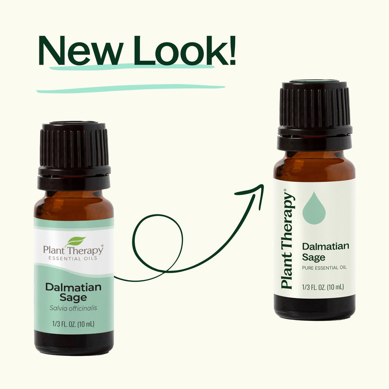 Plant Therapy Dalmatian Sage Essential Oil Essential Oil