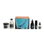Nava Beauty Davines OI Luxe Holiday Set: Shampoo, Conditioner, All in One Milk, Souffle, Oil Hair White Smoke