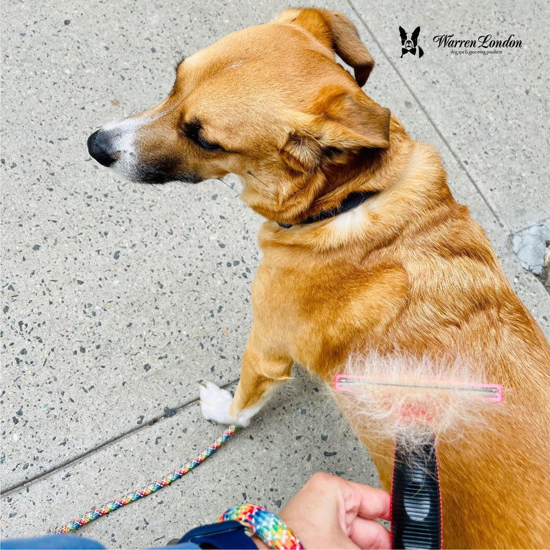 Warren London De-Shedding Dog Brush for Long Hair (>1") Leashes, Collars & Accessories