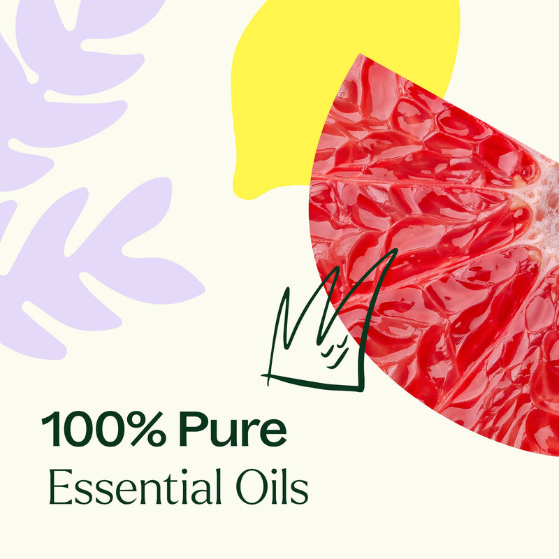 Plant Therapy Defender Essential Oil Blend Essential Oil