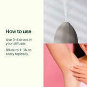 Plant Therapy Deodorizing Essential Oil Blend Essential Oil