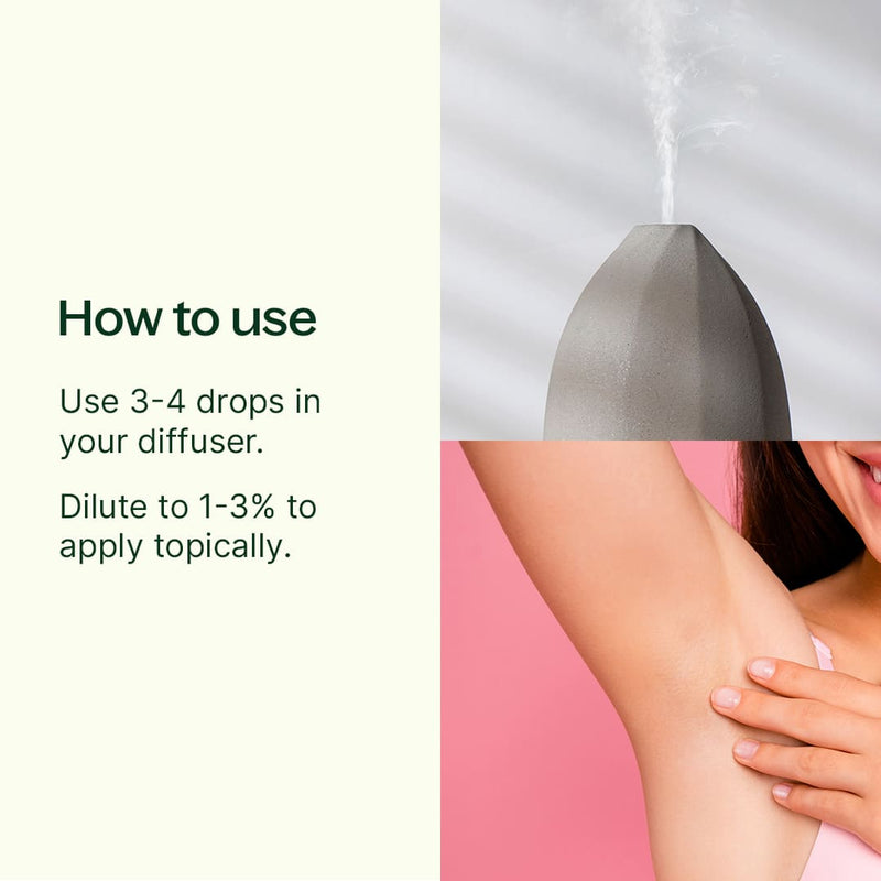 Plant Therapy Deodorizing Essential Oil Blend Essential Oil