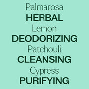 Plant Therapy Deodorizing Essential Oil Blend Essential Oil