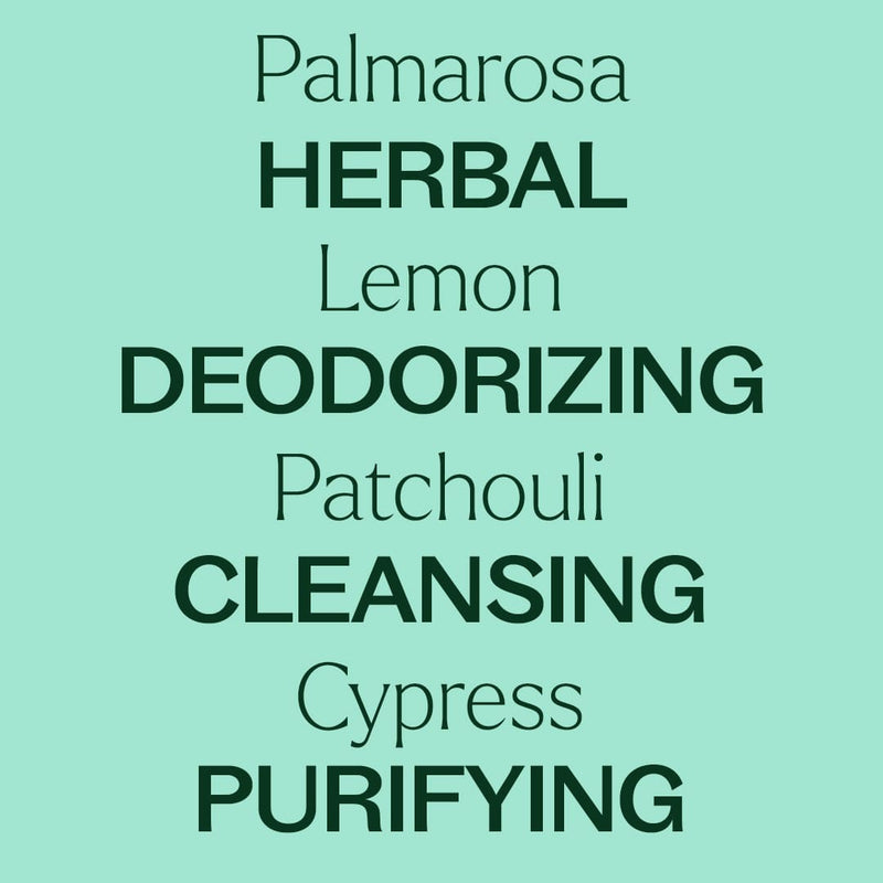 Plant Therapy Deodorizing Essential Oil Blend Essential Oil