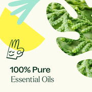 Plant Therapy Deodorizing Essential Oil Blend Essential Oil