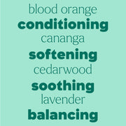 Plant Therapy Detangler Frizz-Taming Spray Hair & Skin Care