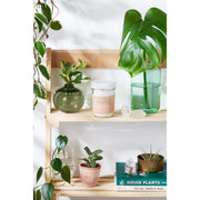 Butter Me Up Organics Detox Bath Epsom Salt Clay Essential Oil Soak Organic Vegan Bath