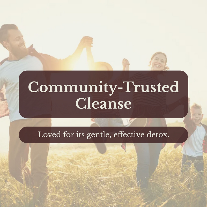 Euphoric Herbals Detox Herbal Tea Herbal Tea