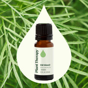Plant Therapy Dill Weed Essential Oil Essential Oil
