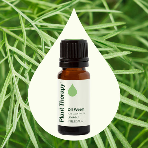 Plant Therapy Dill Weed Essential Oil Essential Oil