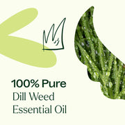 Plant Therapy Dill Weed Essential Oil Essential Oil