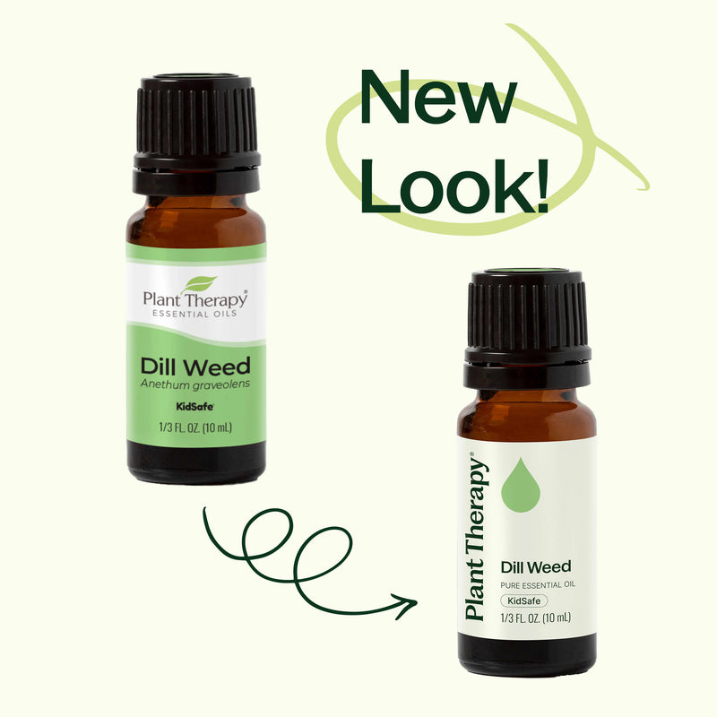 Plant Therapy Dill Weed Essential Oil Essential Oil
