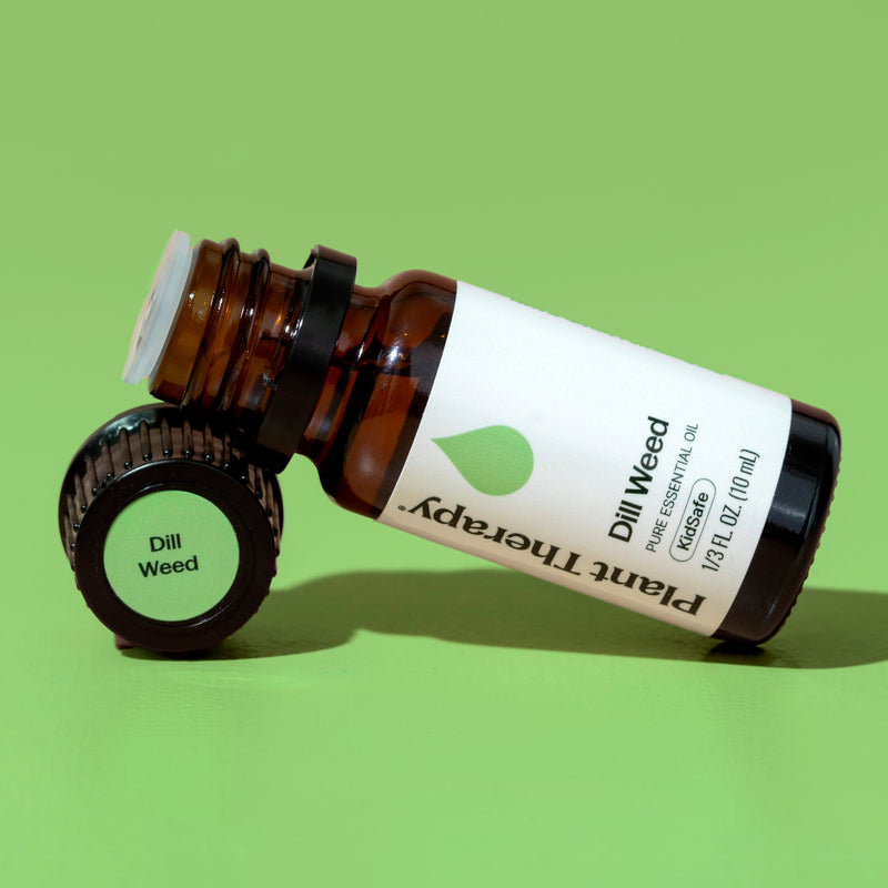 Plant Therapy Dill Weed Essential Oil Essential Oil