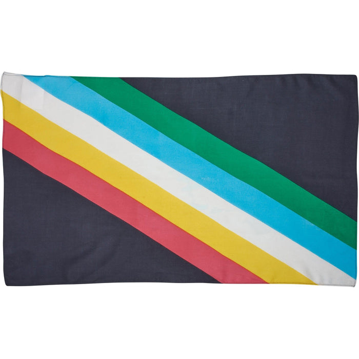 The Bullish Store - Disability Pride Scarf | Disability Flag Color Rainbow Stripe Bandana | 30" X 18"