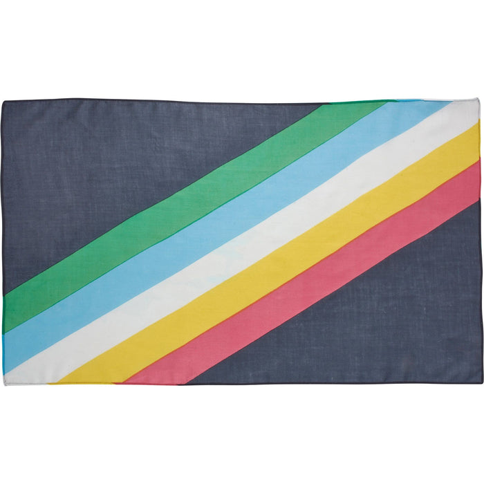 The Bullish Store - Disability Pride Scarf | Disability Flag Color Rainbow Stripe Bandana | 30" X 18"