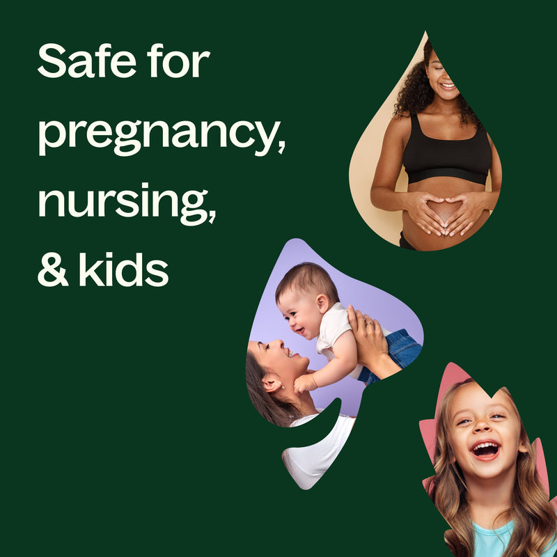 Douglas Fir Essential Oil