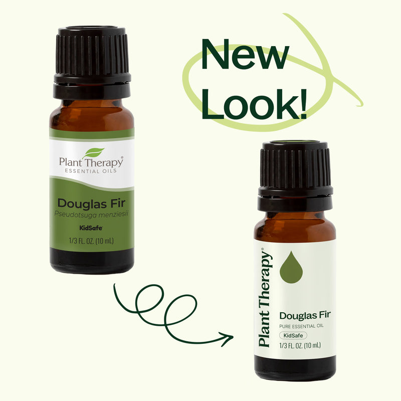 Douglas Fir Essential Oil
