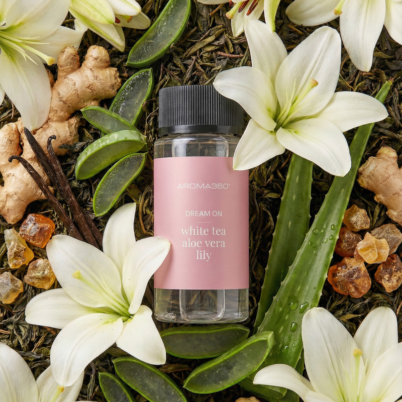 Aroma360 Dream On™ Oil