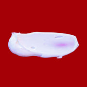 gymsegbë Habaek Sun Protection Face Moisturizer SPF50 | Peptides | Niacinamide SPF50 Anti-Aging Facial