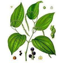 Heliotrope San Francisco Essential Oil - Black Pepper Essential Oil