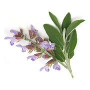 Heliotrope San Francisco Essential Oil - Clary Sage Essential Oil