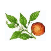 Heliotrope San Francisco Essential Oil Blend Evening (Neroli Lemon) Essential Oil