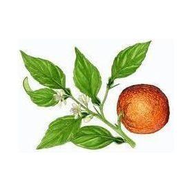 Heliotrope San Francisco Essential Oil Blend Evening (Neroli Lemon) Essential Oil