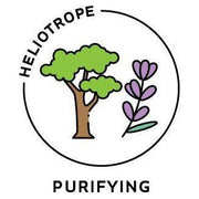 Heliotrope San Francisco Essential Oil Blend Purifying (Cypress Lavender) Essential Oil