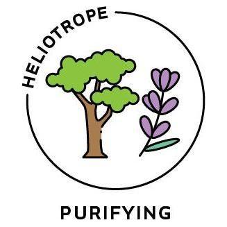 Heliotrope San Francisco Essential Oil Blend Purifying (Cypress Lavender) Essential Oil