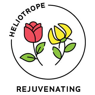 Heliotrope San Francisco - Essential Oil Blend Rejuvenating (Rose Ylang Ylang)