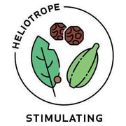 Heliotrope San Francisco Essential Oil Blend Stimulating (Black Pepper Cardamom Bay Laurel) Essential Oil