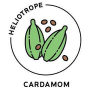 Heliotrope San Francisco Essential Oil - Cardamom Essential Oil