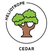 Heliotrope San Francisco Essential Oil - Cedar Essential Oil