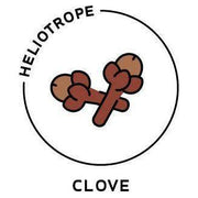 Heliotrope San Francisco Essential Oil - Clove Essential Oil